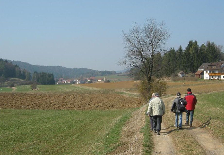 Wandern im Reinbachtal
